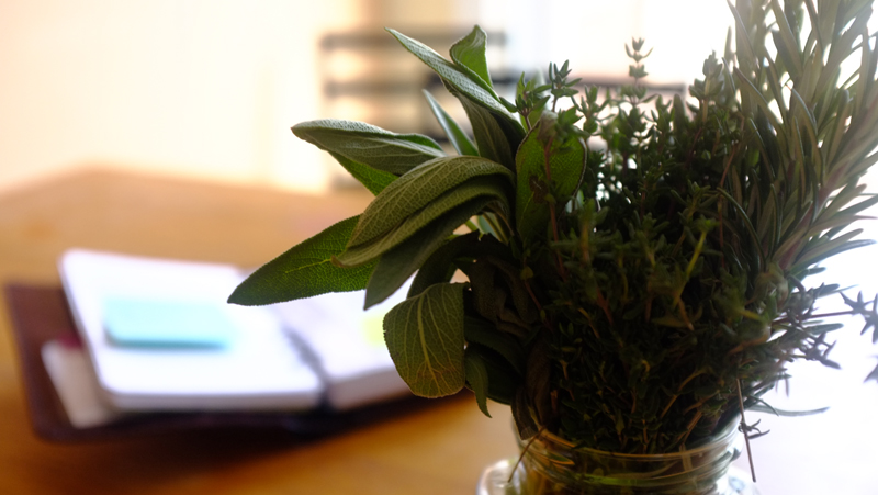herbs and notebook