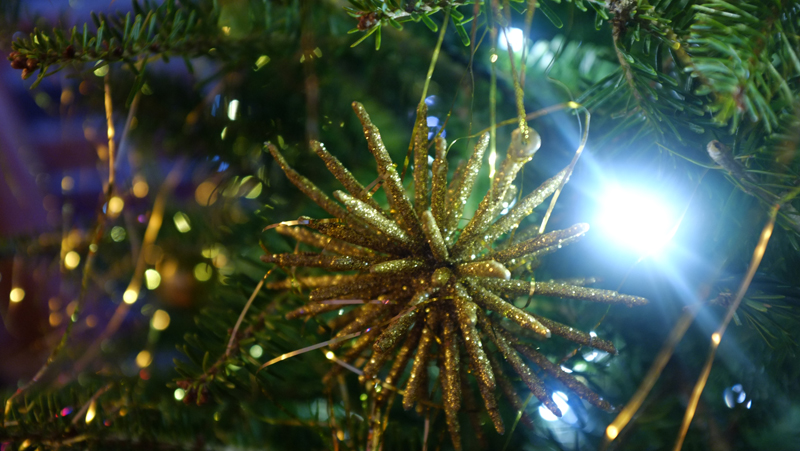 tree1